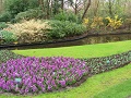 Keukenhof